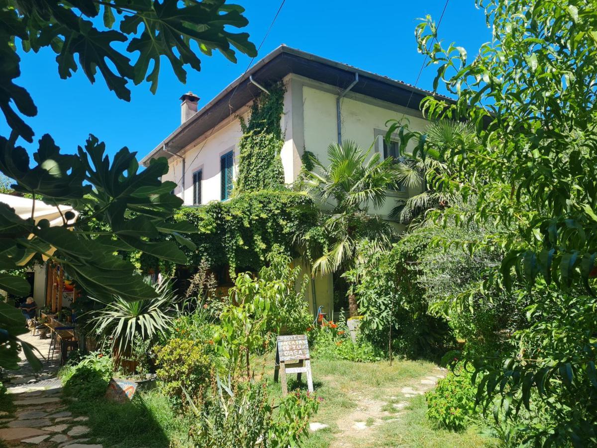Mi Casa es Tu Casa - Shkodra Backpackers Hostel Exteriör bild