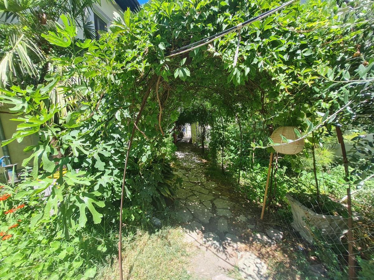 Mi Casa es Tu Casa - Shkodra Backpackers Hostel Exteriör bild